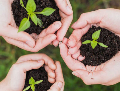 Día mundial del medio ambiente